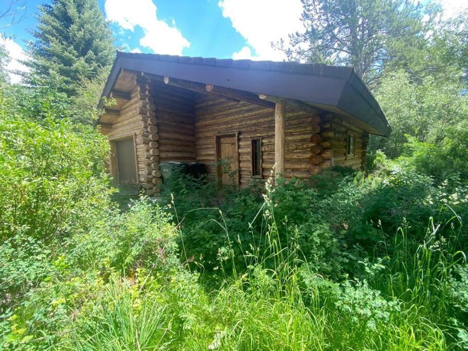 Aspen'S Cabin Wilson Kültér fotó